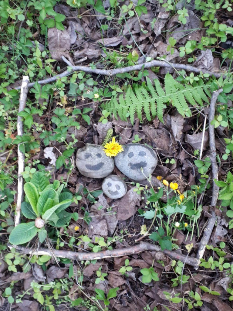 Naturbilder im homeoffice – Volksschule Gratwein